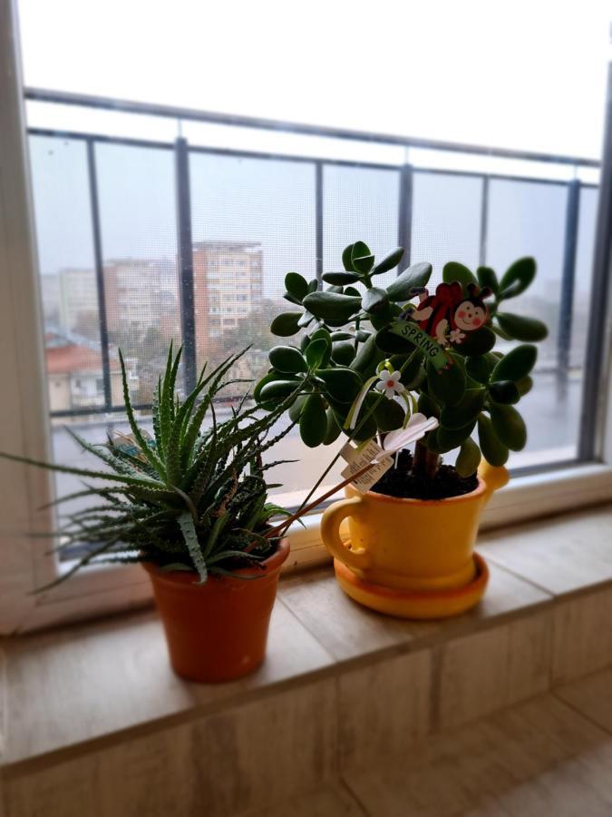 Cozy Apartment 아라드 외부 사진