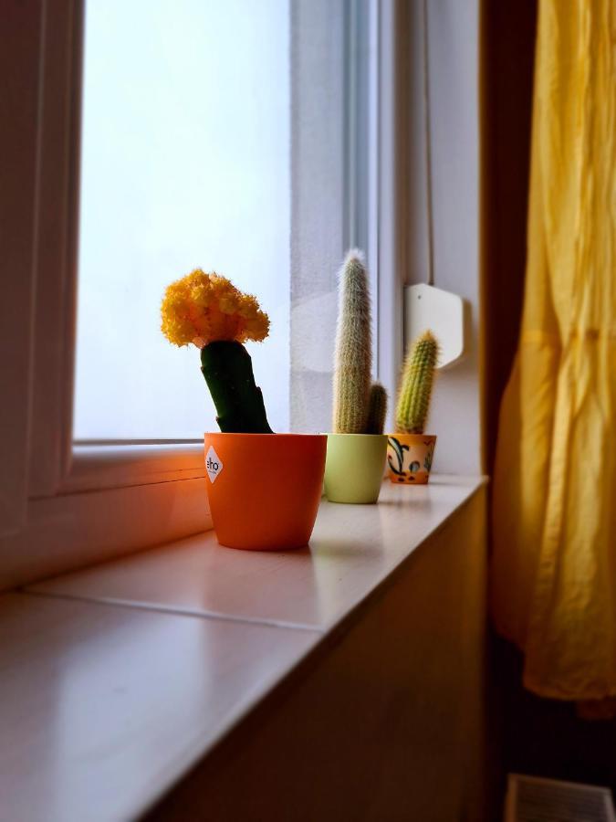 Cozy Apartment 아라드 외부 사진