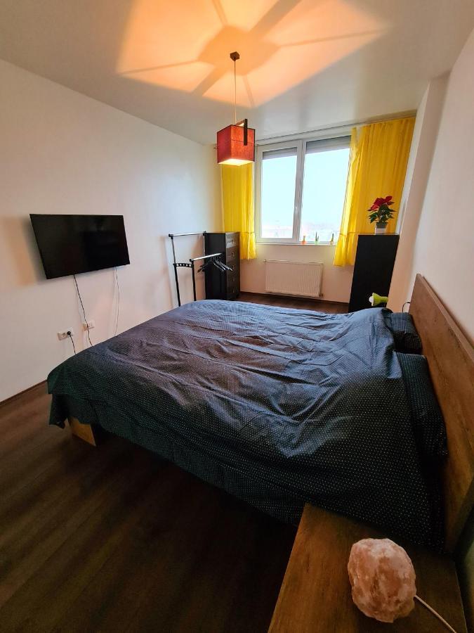 Cozy Apartment 아라드 외부 사진